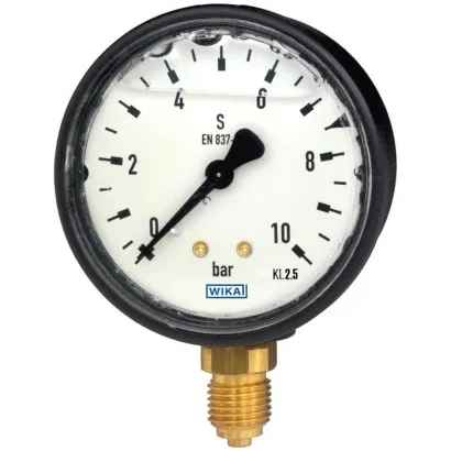 Wika Hydraulic Pressure Gauge, 113.13, Copper alloy, plastic case, liquid filling