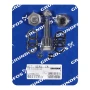 Grundfos Plug Kit, for CR NEMA 10,15 Series Pumps, 96511313