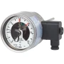 Wika Bimetal Thermometer With Switch Contacts, TGS55