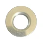 Wilden Valve Seat, Aluminum, Fits P200 Wilden Bolted Pump, 02-1125-01