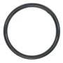 Wilden O-Ring PTFE Encapsulated FKM Fits Wilden 2