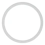 Wilden PTFE O-Ring for Wilden 1